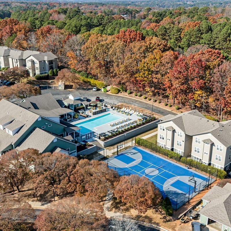 The-Wilde—Aerials-3